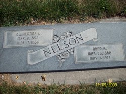 Obed Nelson