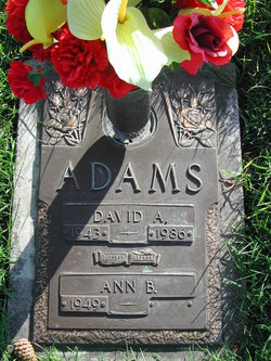 David A. Adams
