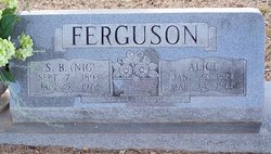 Hannah Alice <i>Grayson</i> Ferguson